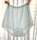 Vtg Gotham Gold Stripe Granny All Nylon Floral Embroidery Lace Blue Panties Sz 7