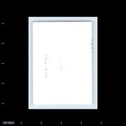 Old Vintage Photo Woman Outside House 1936