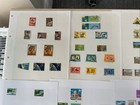 Malaya   States  Stamps On 58 Leaves And 2 Sides Of 1 Stock Page J1038