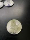 1 Oz Canadian Silver Maple Leaf Coin Bu  random Year  Lot Of 10