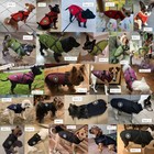 Winter Warm Small Pet Dog Jackets Vest Waterproof Thick Puppy Cat Coat Costumes