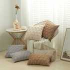2 Pcs Luxury Cushion Soft Plush Pillow Covers Velvet Decorative Sofa Throw Case
