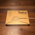 Nacome Solar Garden Outdoor Statues Turtle With Succulent And 7 Led Li