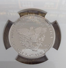 2005 W Eagle P  25 Pf69 Ultra Cameo Ngc Certified 1 4 Oz Platinum   Free Ship 