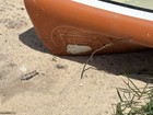 Rackham 12    Bugslinger Blackwater Paddleboard With Apex Pedal Drive 