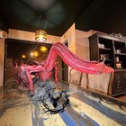 Caraxes Blood Worm House Of Dragon Game Of Thrones Collection Figure Decor