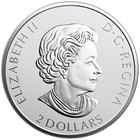 2020 3 4 Canadian Silver Woodland Caribou Reverse Proof Coin