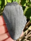 Natural Beautiful 2 33    Megalodon Tooth Fossil Shark Teeth