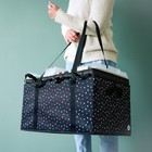 Creative Memories Rainbow Dot Deluxe Collapsible Bag
