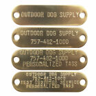 1  Solid Premium Glow Tuff D Ring Dog Collar With Brass Name Plate