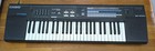 Casio Sk-2000 Portable  Sampling Keyboard- Tested   Working With Adapter 