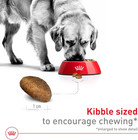 Royal Canin Size Health Nutrition Large Breed Adult Dry Dog Food  30lb - New