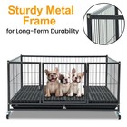 Homey Pet 43 Whelping For Dogs And Puppies Taller Heavy Duty Dog Whelping Puppy