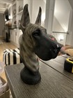 Vintage       great Dane    Resin Dog Bust Sculpture 10x6 Collectible Check Pics