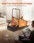 Dog Treadmill For Medium Dogs Electric Pet Treadmill For Agility Training