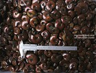 2 2lb Wholesale Price  80-100 Pcs Rainbow Ammonite Fossil Crystal Specimen
