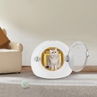 Pet Hair Dryer Box Blow Dryer Box 20 2 x14 6  For Cats  Small Dogs Drying Blower