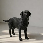 Lifelike Black Labrador Retriever Figurine - Realistic Dog Statue Home Decor