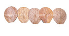 100pcs Indian Almond Leaves 5   Catappa Ketapang Leaf For Fish  Shrimp  Aquarium