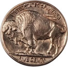 1935 Buffalo Nickel   Bu uncirculated   Better Date 