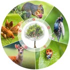 2 Packs 8x8ft Large Fruit Tree Netting Plant Cover  Ultra-fine Mesh Insect Bird