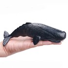 13 Styles Shark Model Marine Sea Life Whale Figurine   Kids Toy Creative Home