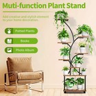 62  Indoor Plant Stand With  Grow Lights 8 Tiered Display Shelf For Home Garde