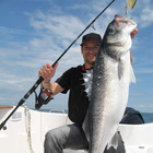 10 Pieces Mini Fishing Lures Micro Fishing Hard Baits Crankbaits Panfish Lure   