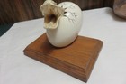 Rare Vintage Taxidermy Small Rattlesnake Head Bursting Out Of A Ceramic Egg