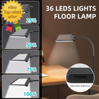 5x Floor Magnifying Glass With Light And Stand  36 Led Dimmable Floor Magnifying