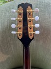 Kentucky Km-505 Artist A-style Mandolin Amber Burst W Case Hand Carved Instr
