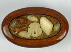 Seashell Sand Dollar In Lucite Shellacked Wood Jewelry Trinket Box Oval Vintage