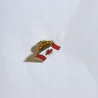 Canada Canadian Flag Lapel Hat Pin Tie Tack Tourist Souvenir Red White Gold Tone