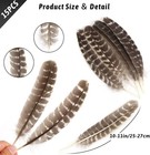 15pcs Natural Turkey Feathers 10-11 Inch Wild Turkey Plumes Craft Diy Decor