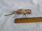 Vintage 2-3 4 Inch Flocked Heddon Meadow Mouse Fishing Lure  Lot P-709