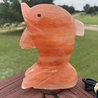 Himalayan Pink Salt Dolphin Shape Hand Carved Lamp Light With Wood Base