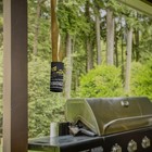 Black Flag Fly Paper  Insect Trap  Catches All Flying Insects 4 Traps