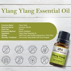Ylang Ylang Essential Oil 100   Pure Natural Premium Therapeutic Grade