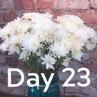 Flower Boosters Fresh Cut Food For Up To 20 Days Vase Life 12 5 Ounces