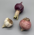 Vintage Ceramic Onion Garlic Figurines Set 3 Realistic Trompe L   oeil Majolica 