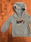 Levi s Graphic Blue Hooded Pullover  Pockets - Logo Space 12m