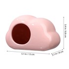2pcs Smooth Cloud-shaped Summer Cooling Hamster Hideout Rat Mice Guniea Pigs
