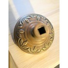 Antique Victorian Door Knob Ornate Art Nouveau Gilded Brass Bronze Flowers