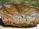 Tcr Rocky Butte Jasper agate lapidary Polished Slab 517 Grams