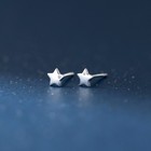 Cosmos Sterling Silver Stud Earrings