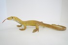 Vintage Monitor Lizard Realistic Replica Pvc Figure Aaa   15 
