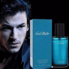 Cool Water By Davidoff For Men Edt Cologne Spray 4 2 Fl Oz  125 Ml