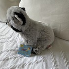 Ganz Webkinz Raccoon Plush Toy 2005 Retired With Sealed Code Hm143