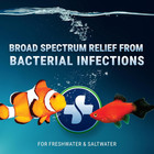 Fritz Maracyn - For Saltwater And Freshwater Gram-positive Relief From Bacterial