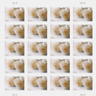 Forever Stamps White Rose 4 Sheets Of 20 Wedding Anniversary